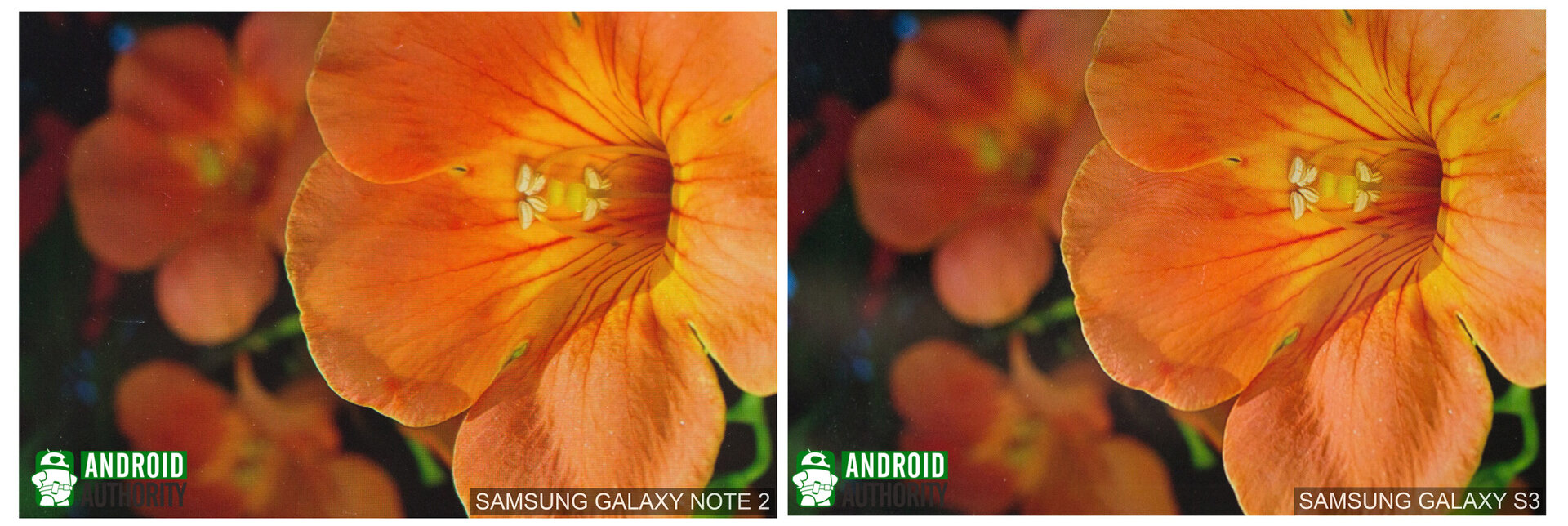 galaxy note 2 vs galaxy s3 display 2