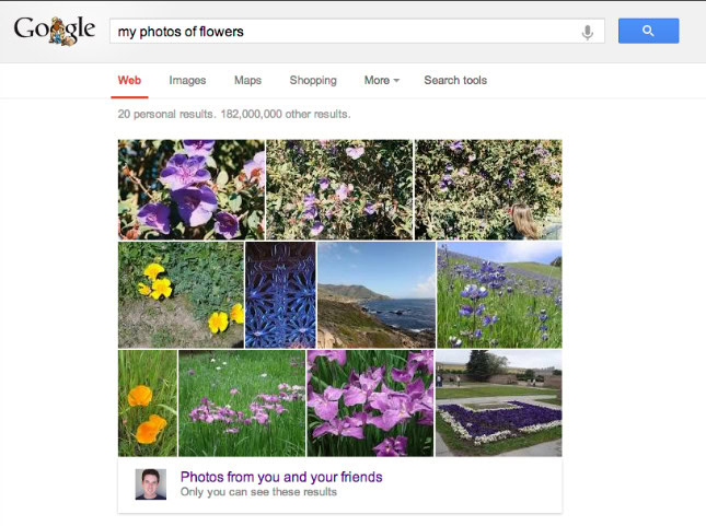 Photos of flowers from Google search