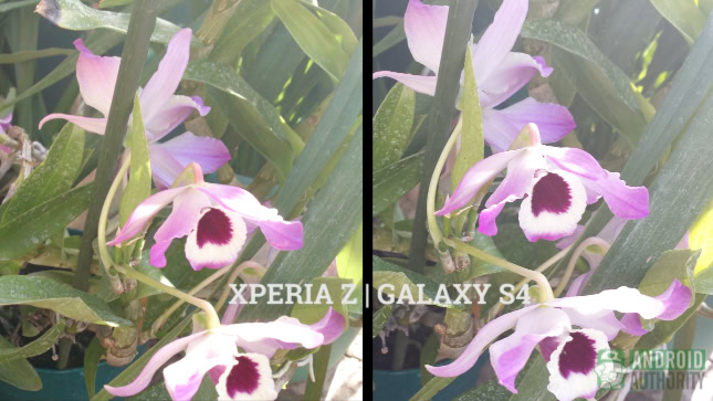 galaxy s4 vs xperia z cameras 2 aa
