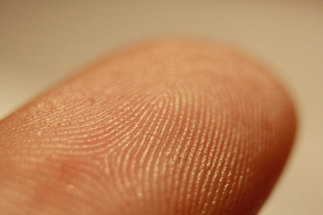 fingerprint scanner