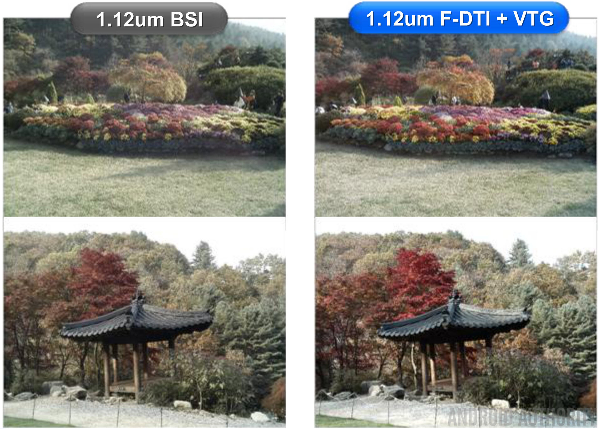 BSI ICOCELL Comparison