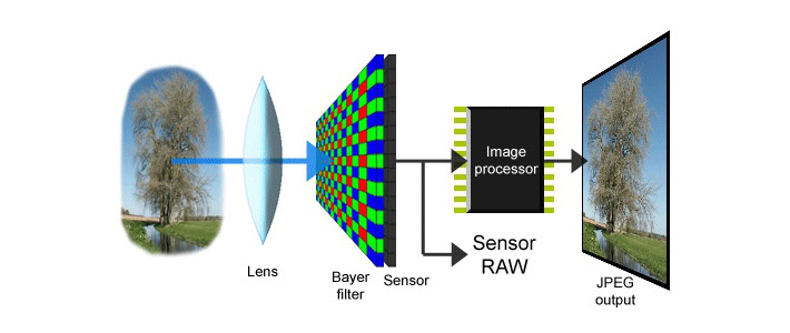 camera sensor