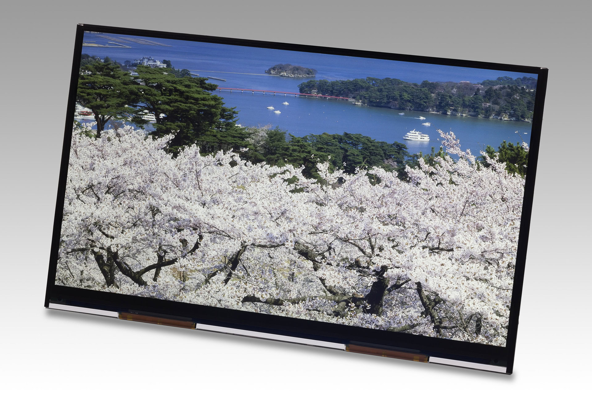 Japan Display's 4K Tablet Display