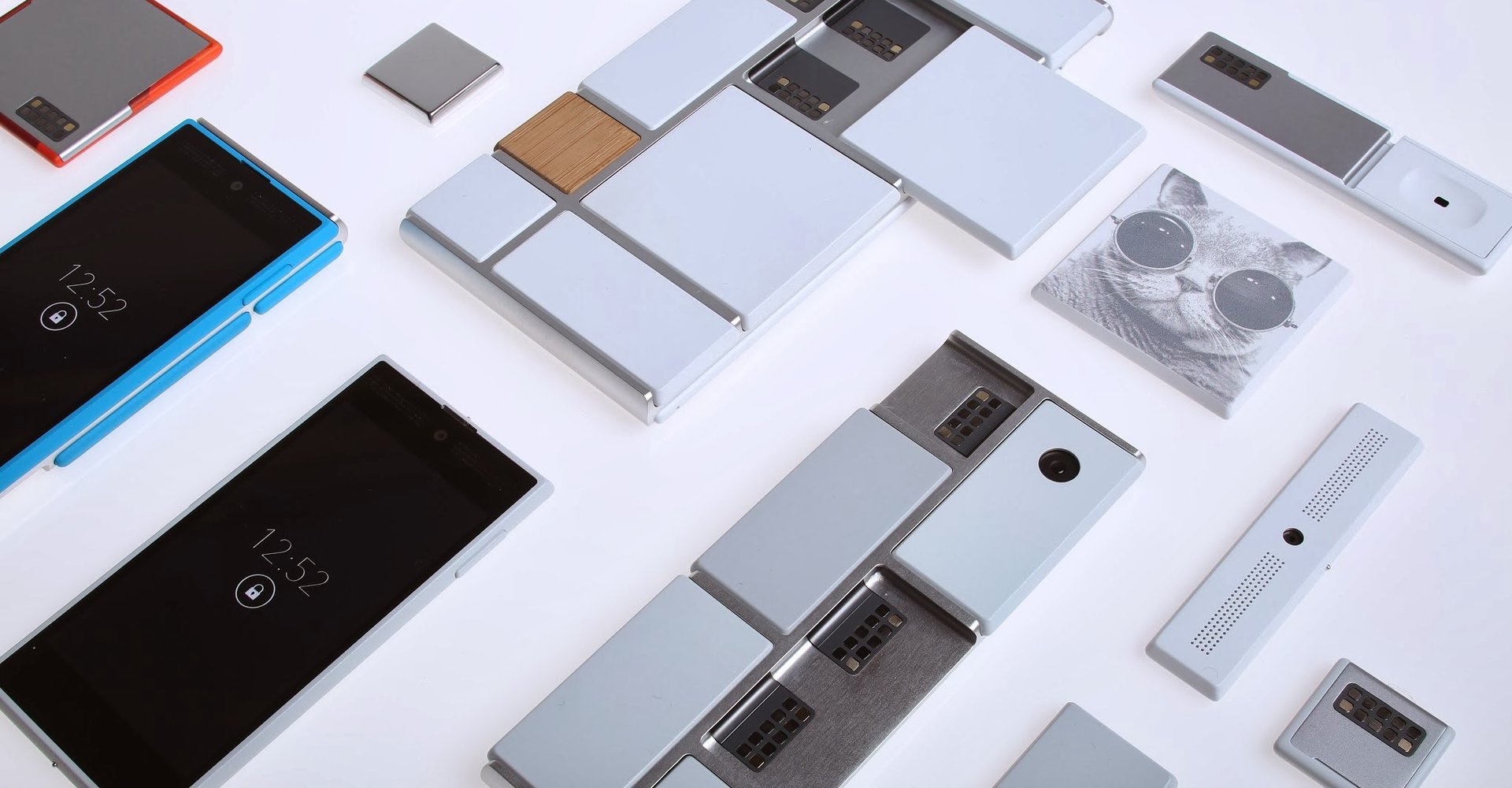 Project Ara crop