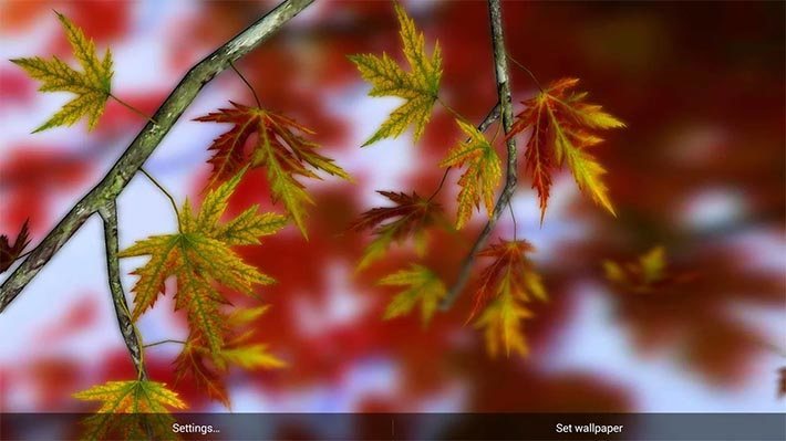Autumn Leaves in HD screenshot