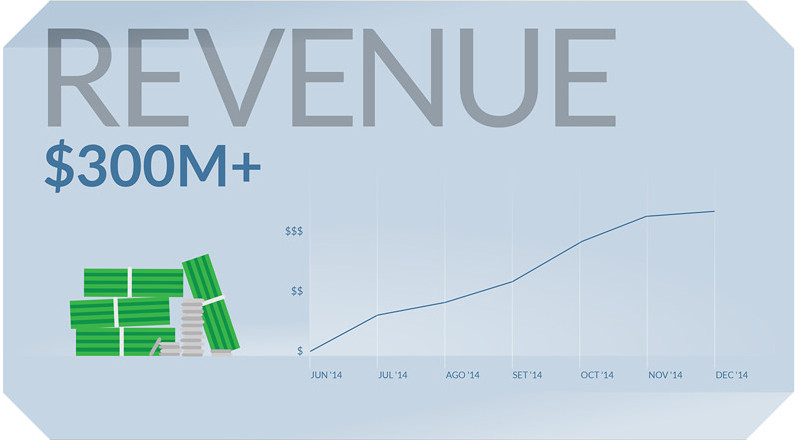 OnePlus 2014 Revenue