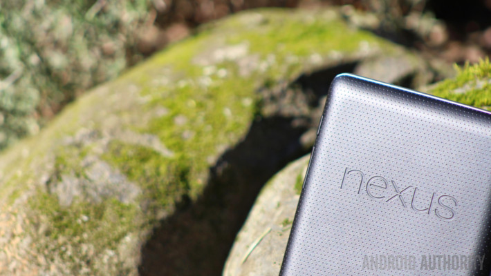 Nexus 7 brick 2012 back rocks