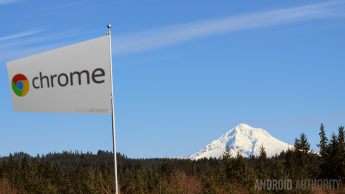 Chrome Flag Mount Hood