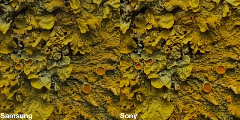 Samsung-vs.-Sony-02