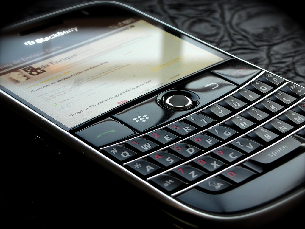 blackberry bold