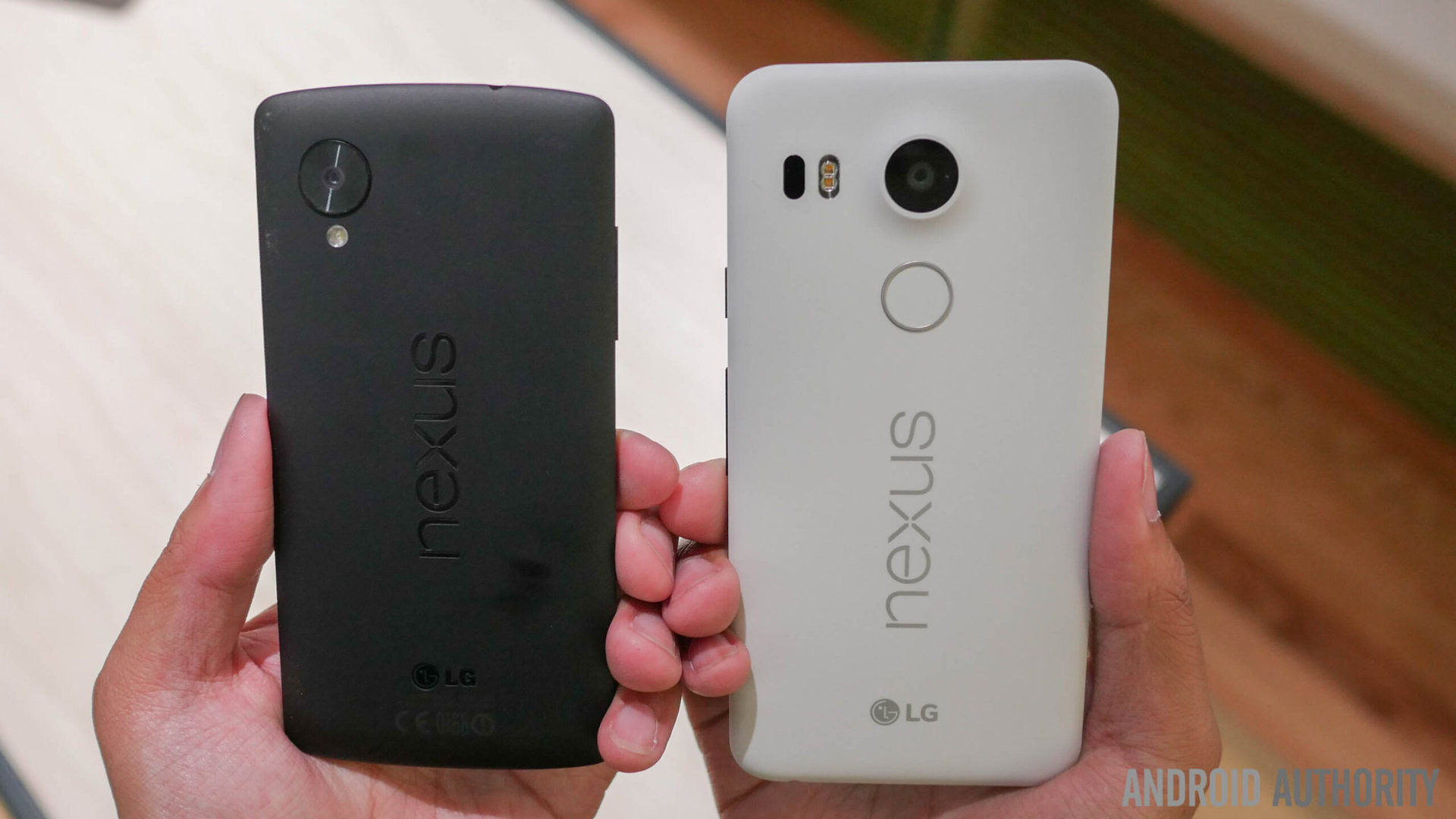 nexus 5x vs nexus 5 quick look aa (2 of 11)