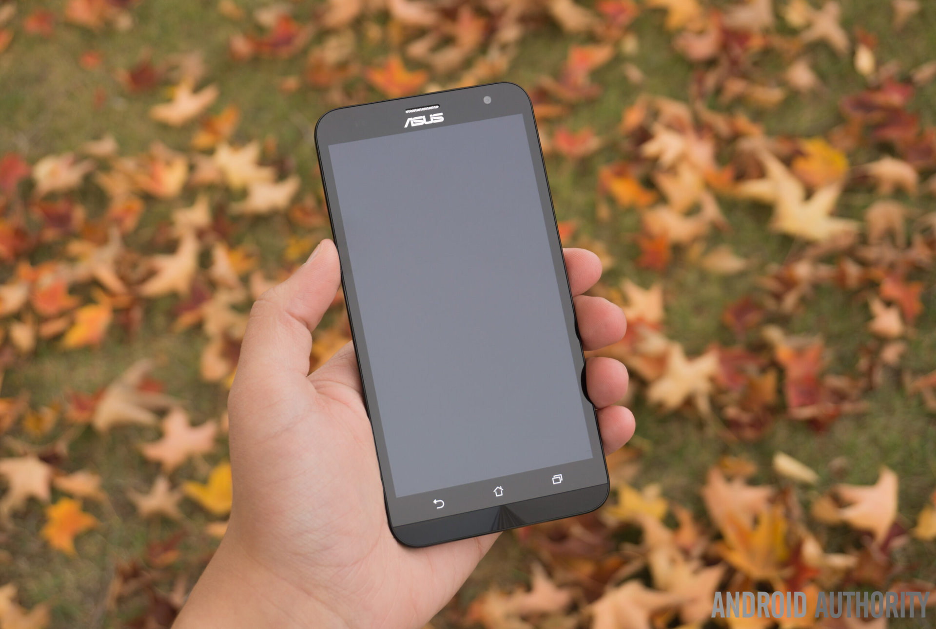 ASUS Zenfone 2 Laser-1