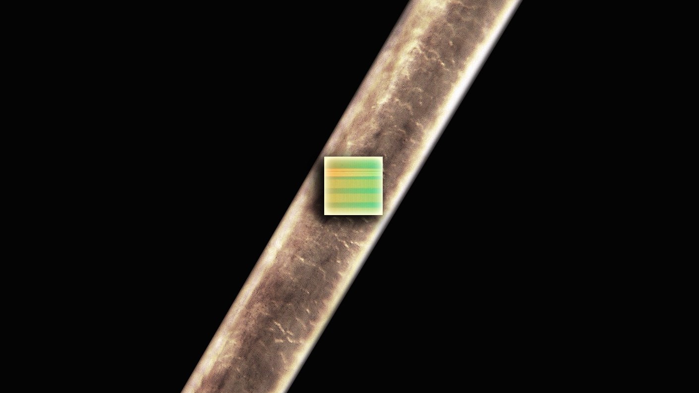 A Cortex M0 on a single strand of human hair