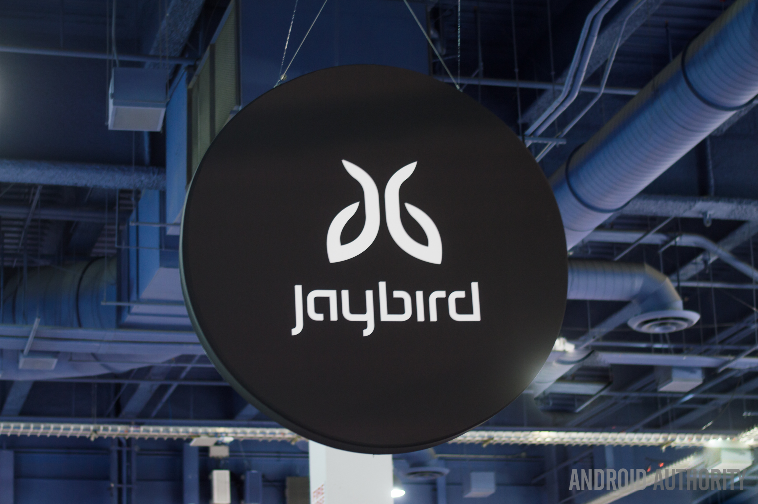 Jaybird-1