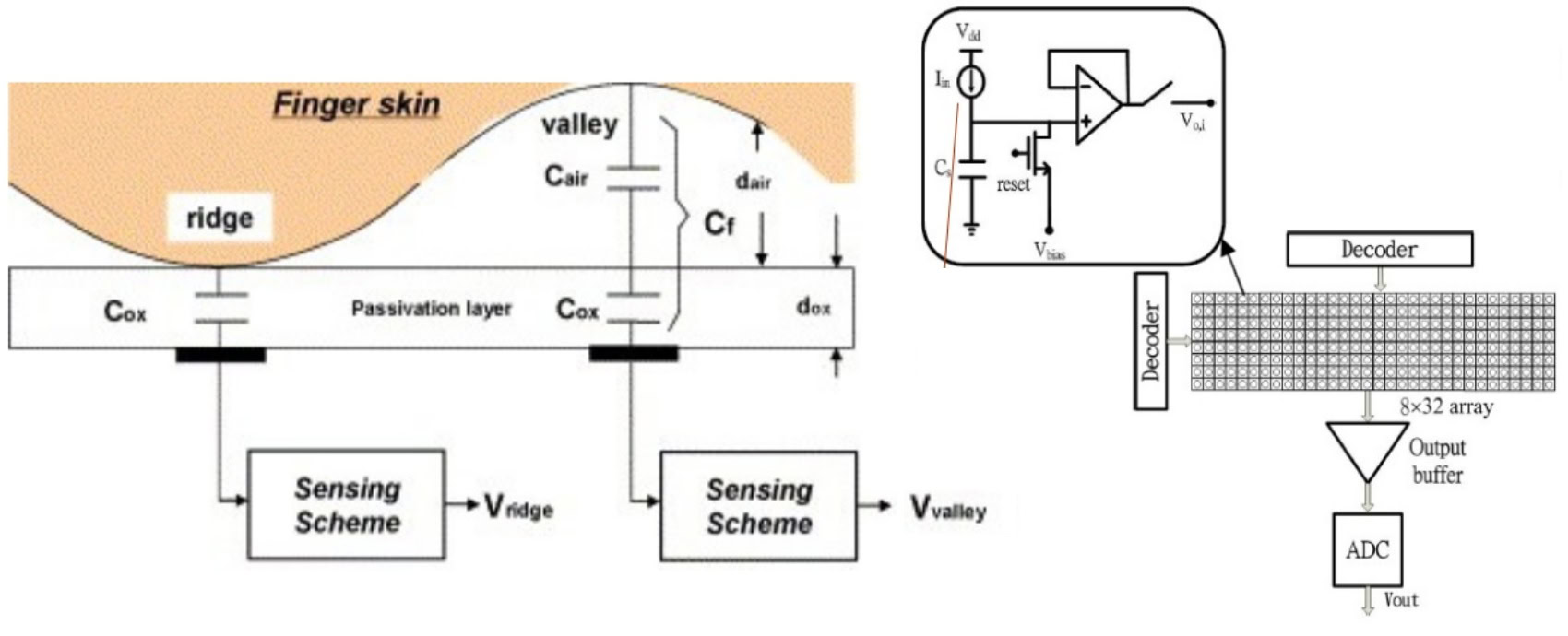 Capacitive Fingerprint Scanner design