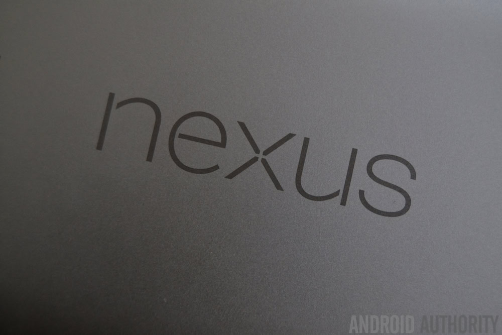 Nexus logo 2 AA