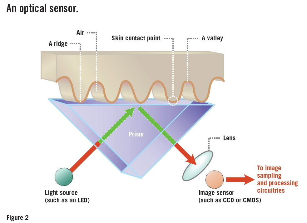 Optical fingerprint scanner