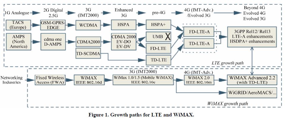 LTE and WiMax growth paths