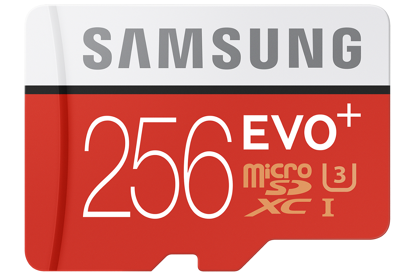Samsung 256GB MicroSD card