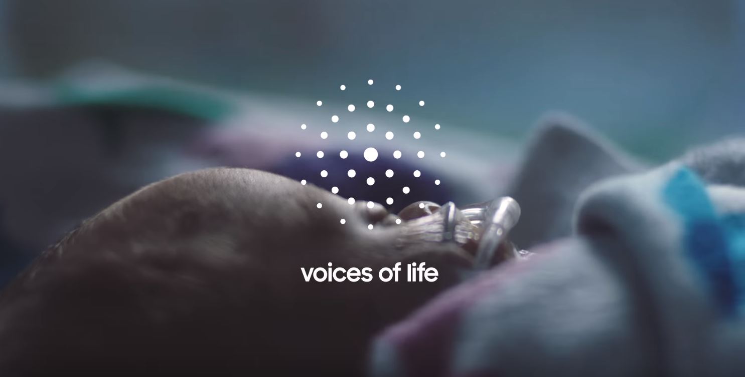 voices-of-life-1