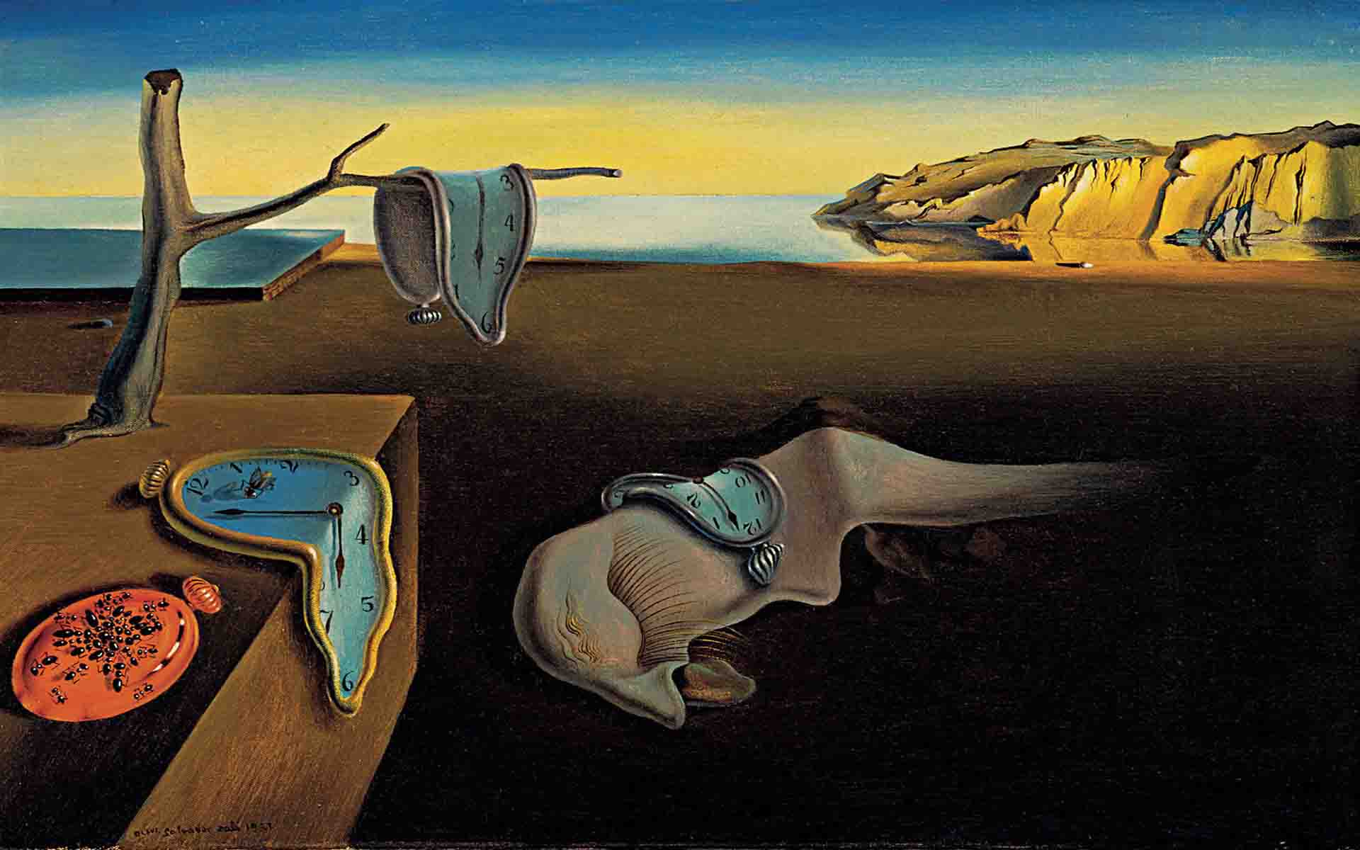 salvador dali