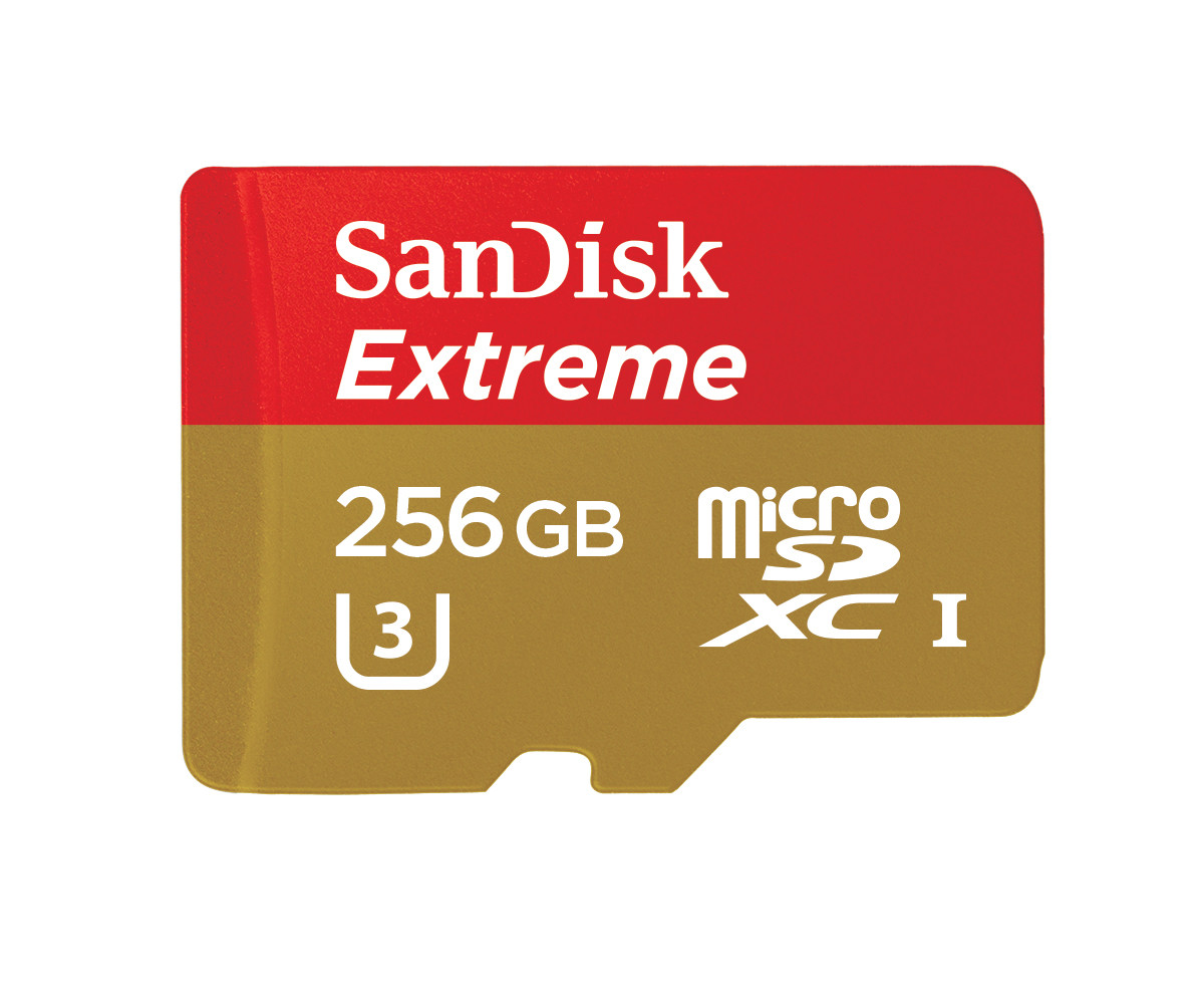 sandisk-microsd-256gb