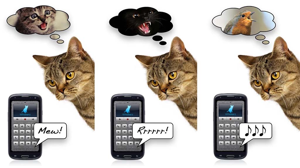 human to animal translators most useless apps