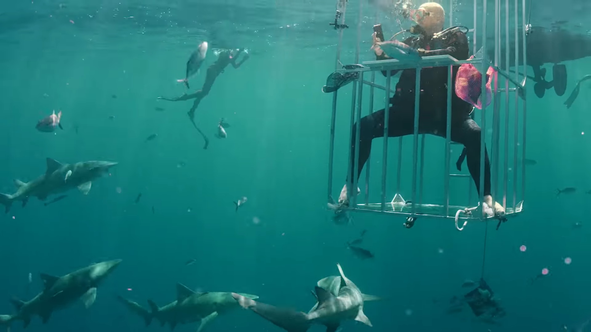 Galaxy S8 gets unboxed underwater and surrounded by sharks