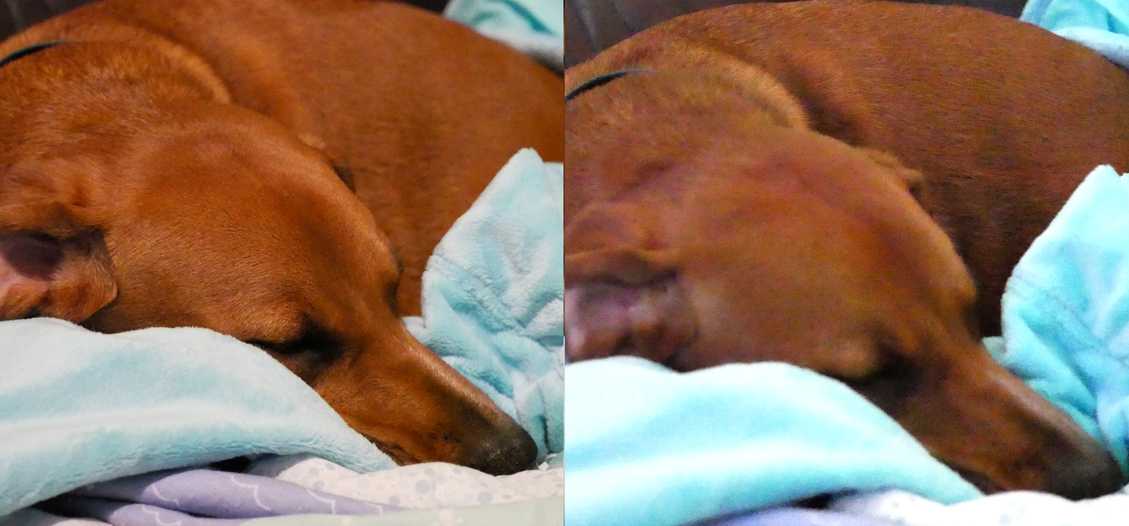 A side-by-side comparison of similar photos taken at two different ISO settings.