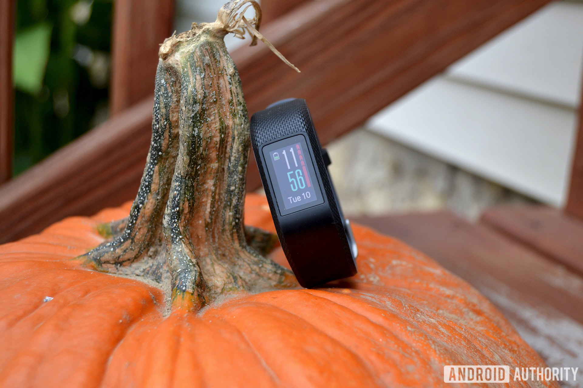 Garmin vívosport review