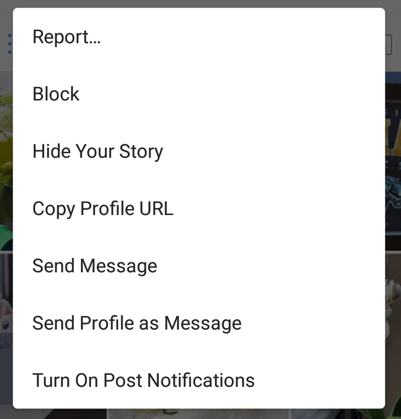 Instagram Privacy Block