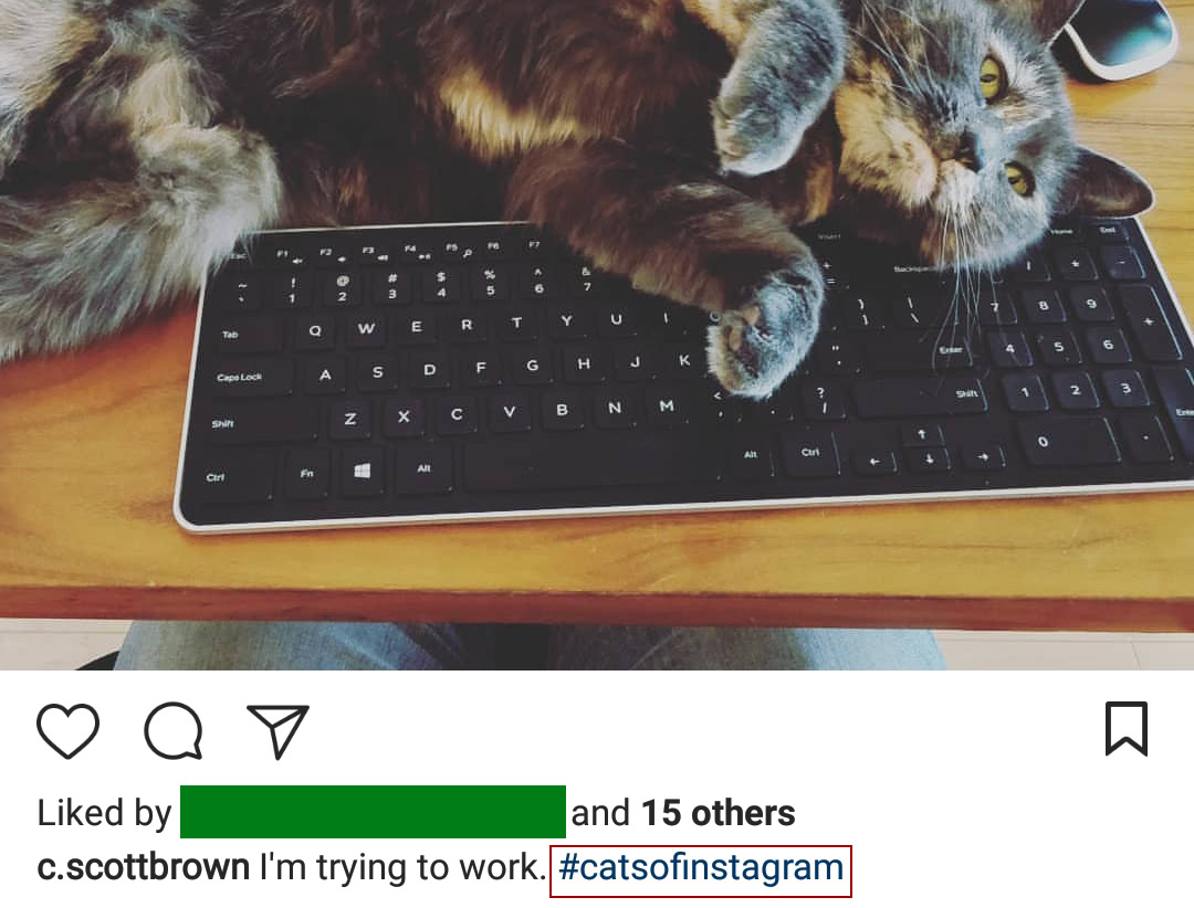 Instagram Privacy Hashtag