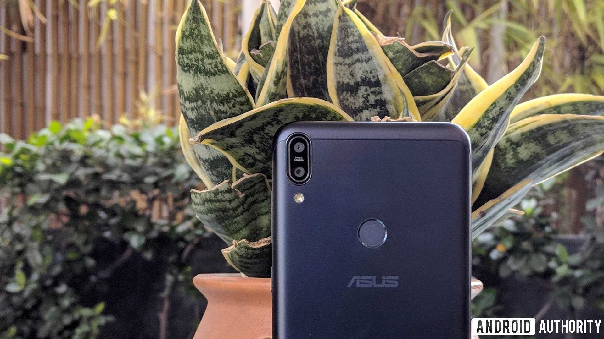 ASUS Zenfone Max Pro M1