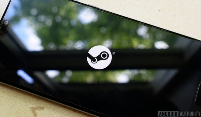 STEAM LINK ANDROID REQUIREMENTS visual data 8