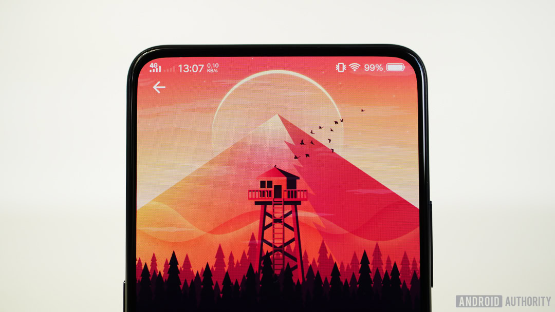 vivo Nex bezel-less display