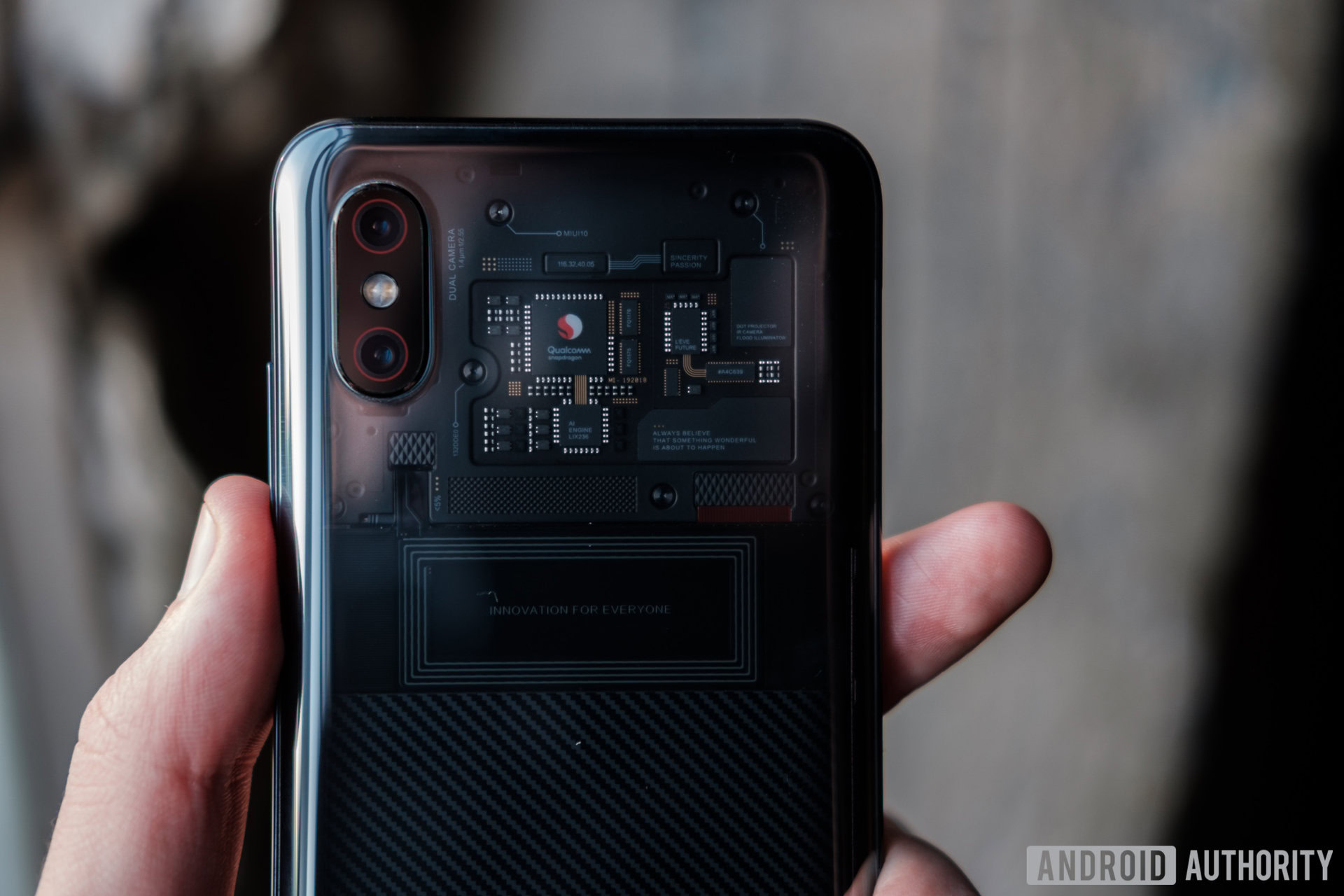 What is the Xiaomi Mi 8's dual frequency