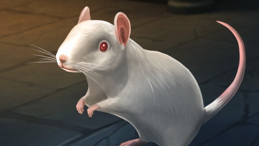 Harry Potter Hogwarts Mystery rat - pets update