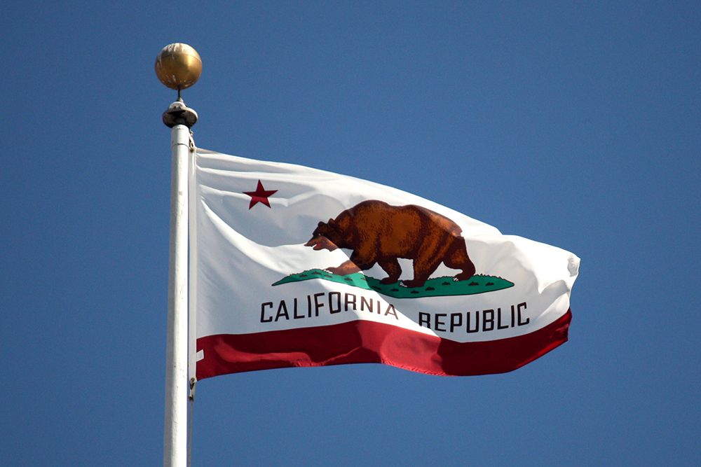 An image of the California flag on a white pole with blue sky behind it.