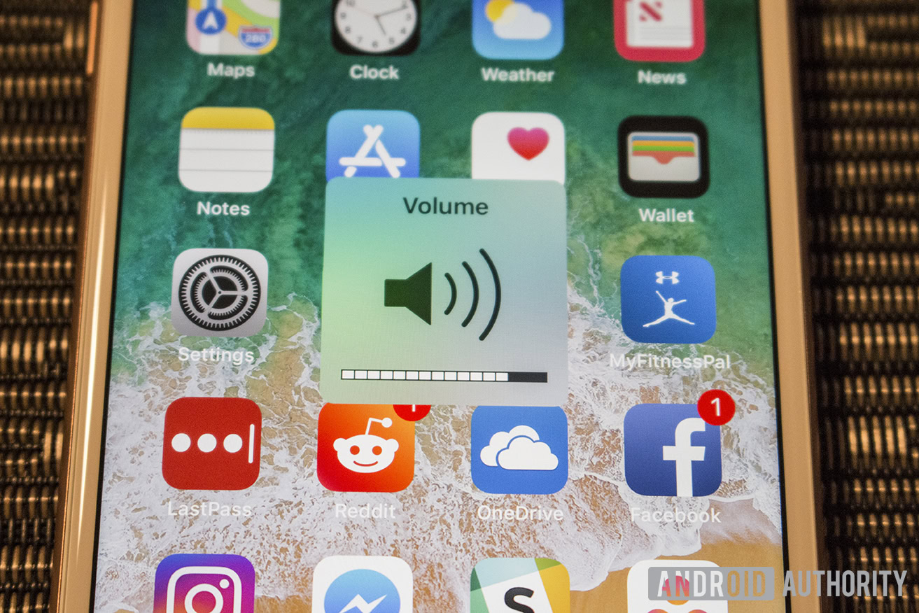 A photograph of the iOS volume menu as seen on an iPhone 8 Plus in 2018.