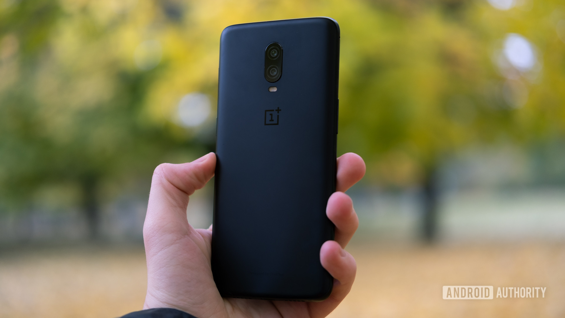 OnePlus 6T back outside