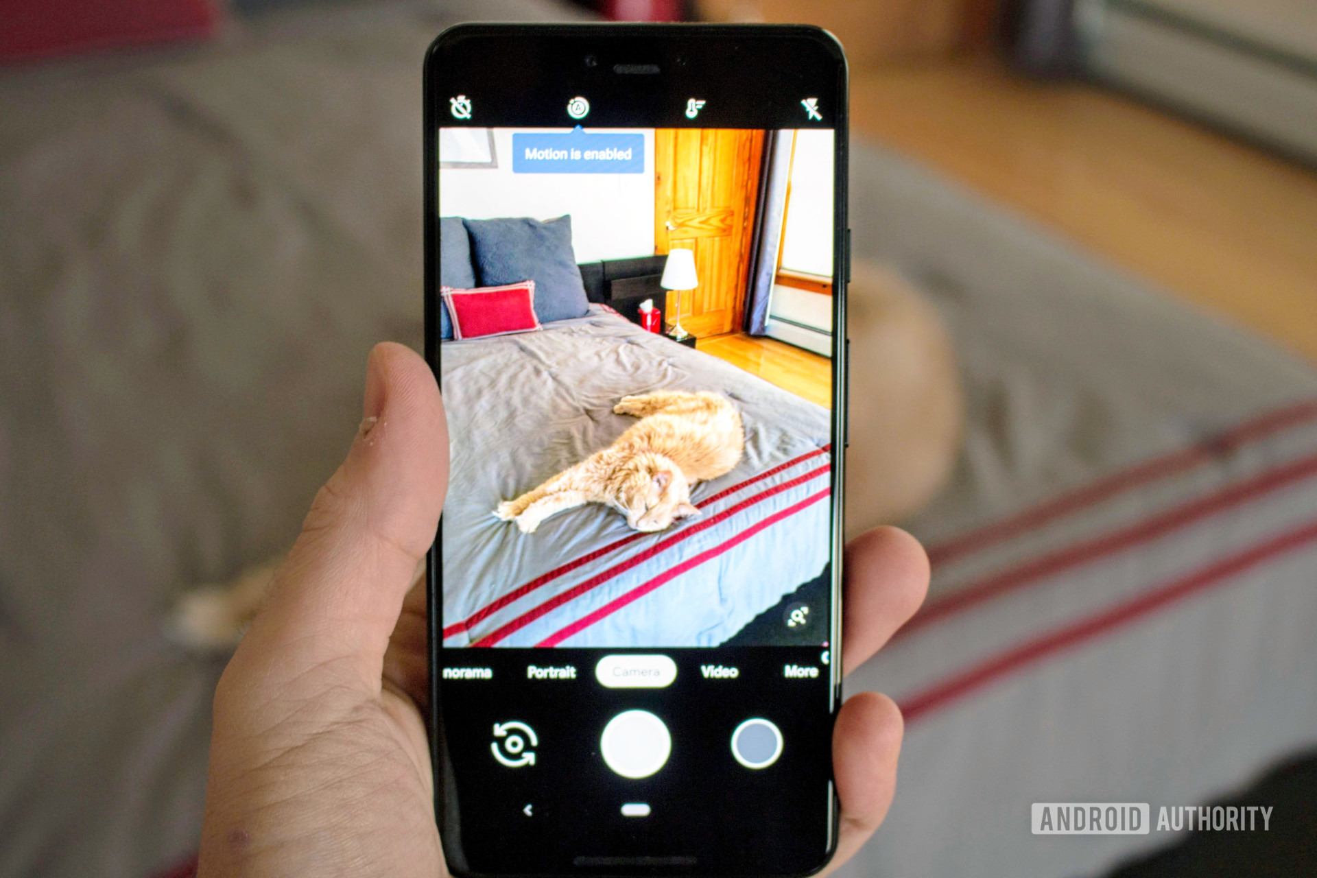 A photograph of the Google Pixel 3 XL taking a picture of a cat on a bed.