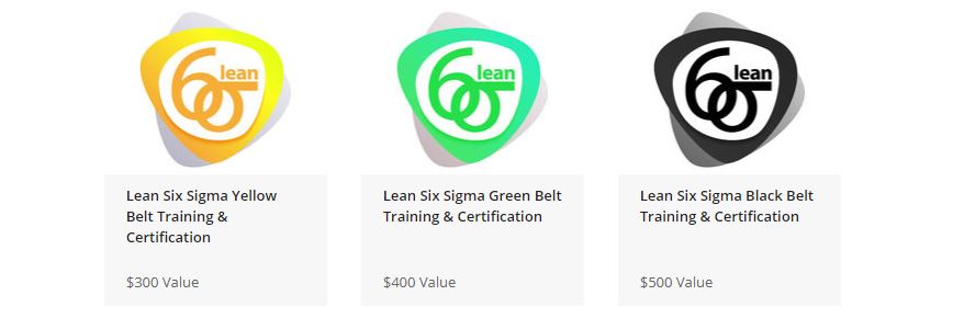 The Official Lean Six Sigma Training and Certification Bundle