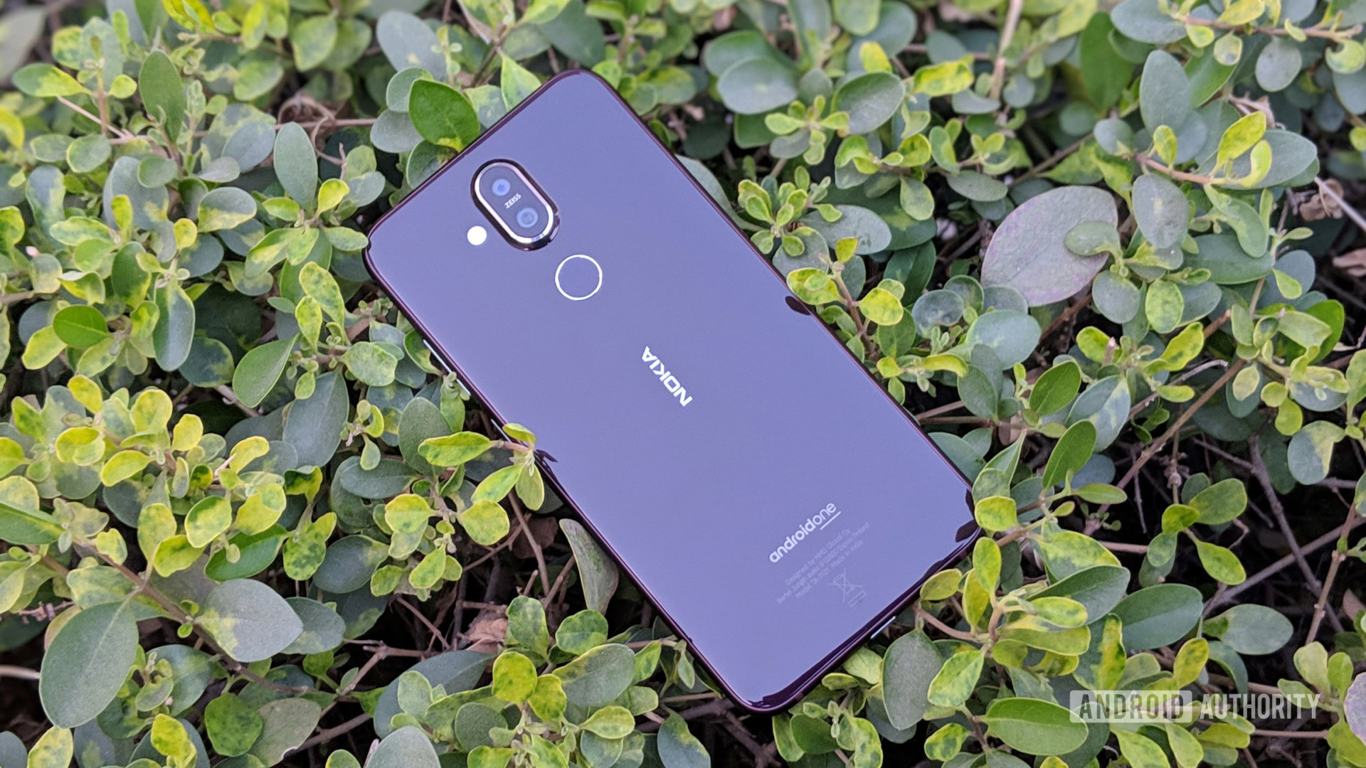 Nokia 8.1 