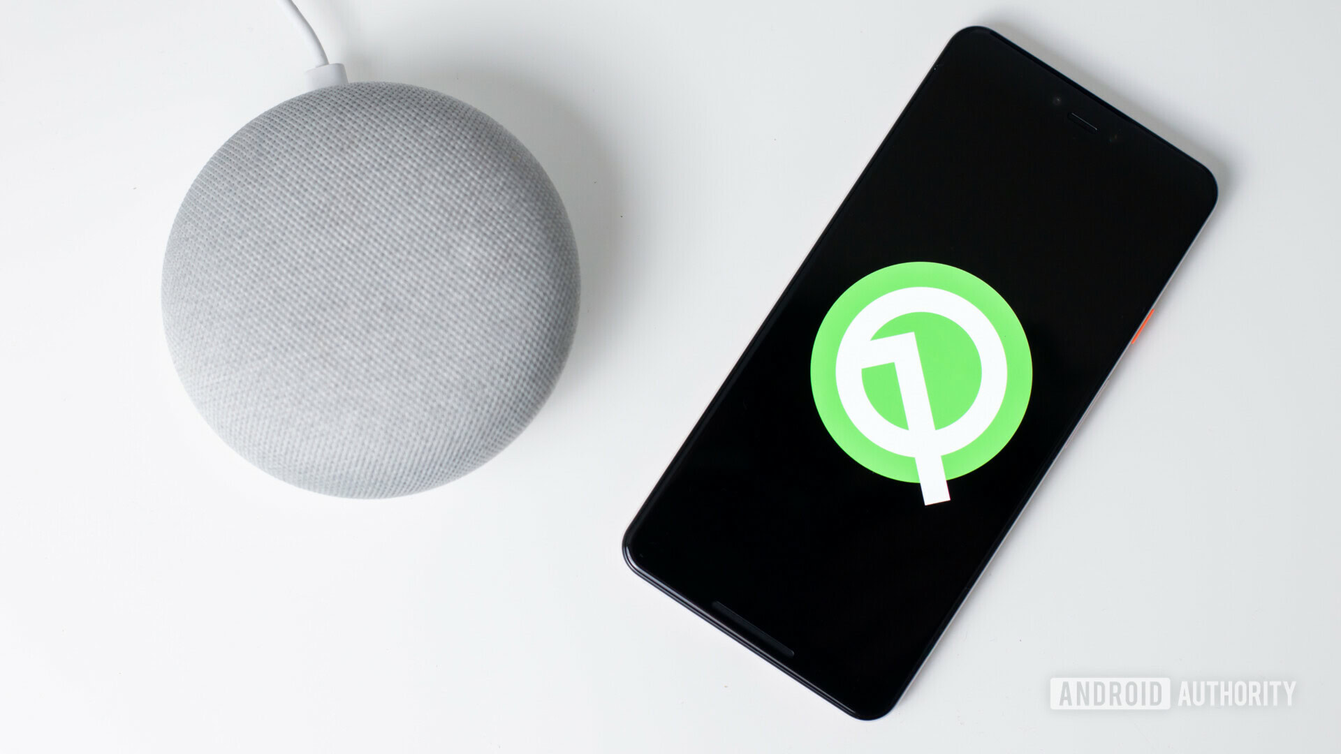 Android Q logo