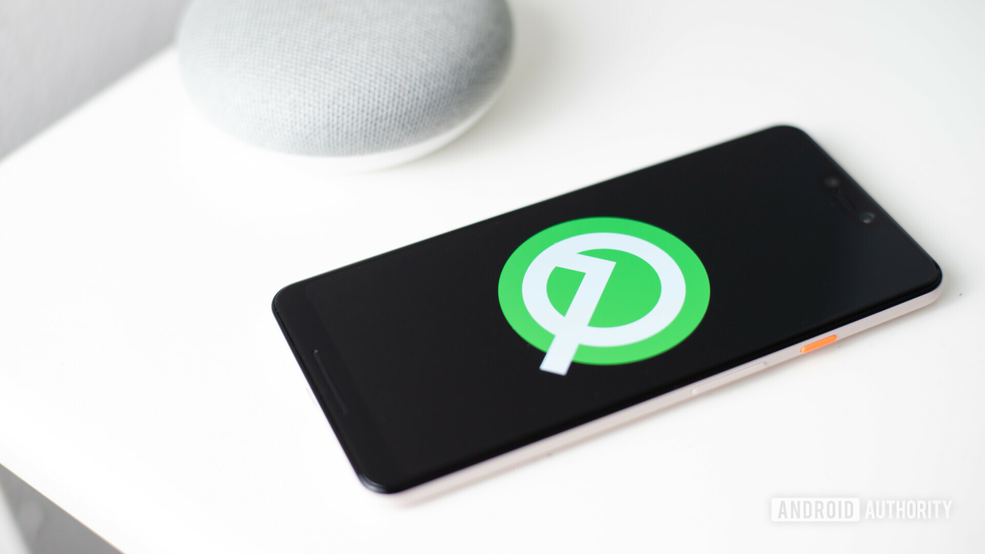 twin Grind Tyranny Update: How to enable the hidden dark mode in Android Q