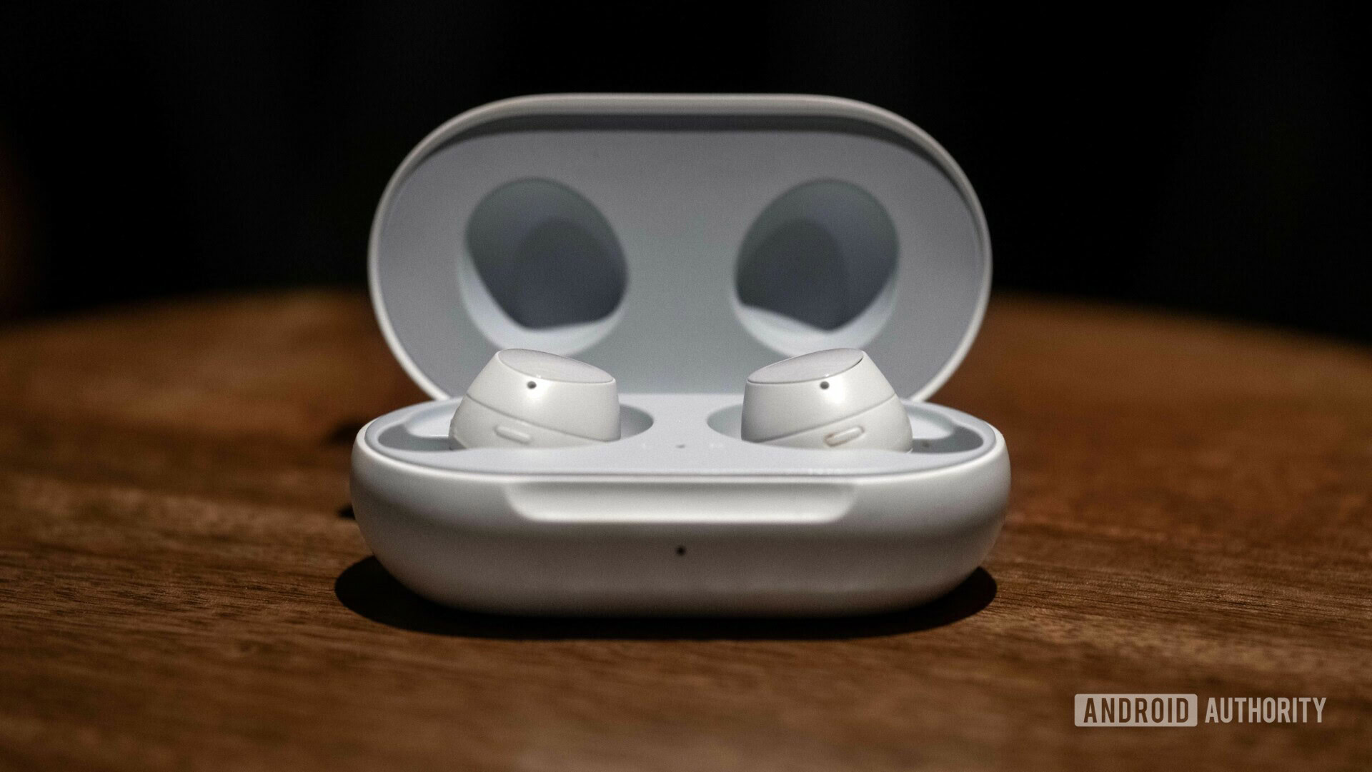 Samsung Galaxy Buds Case open