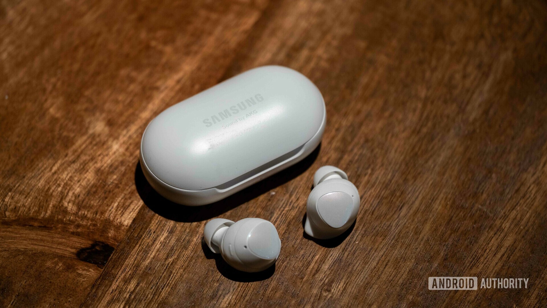 Samsung Galaxy Buds layed out case closed
