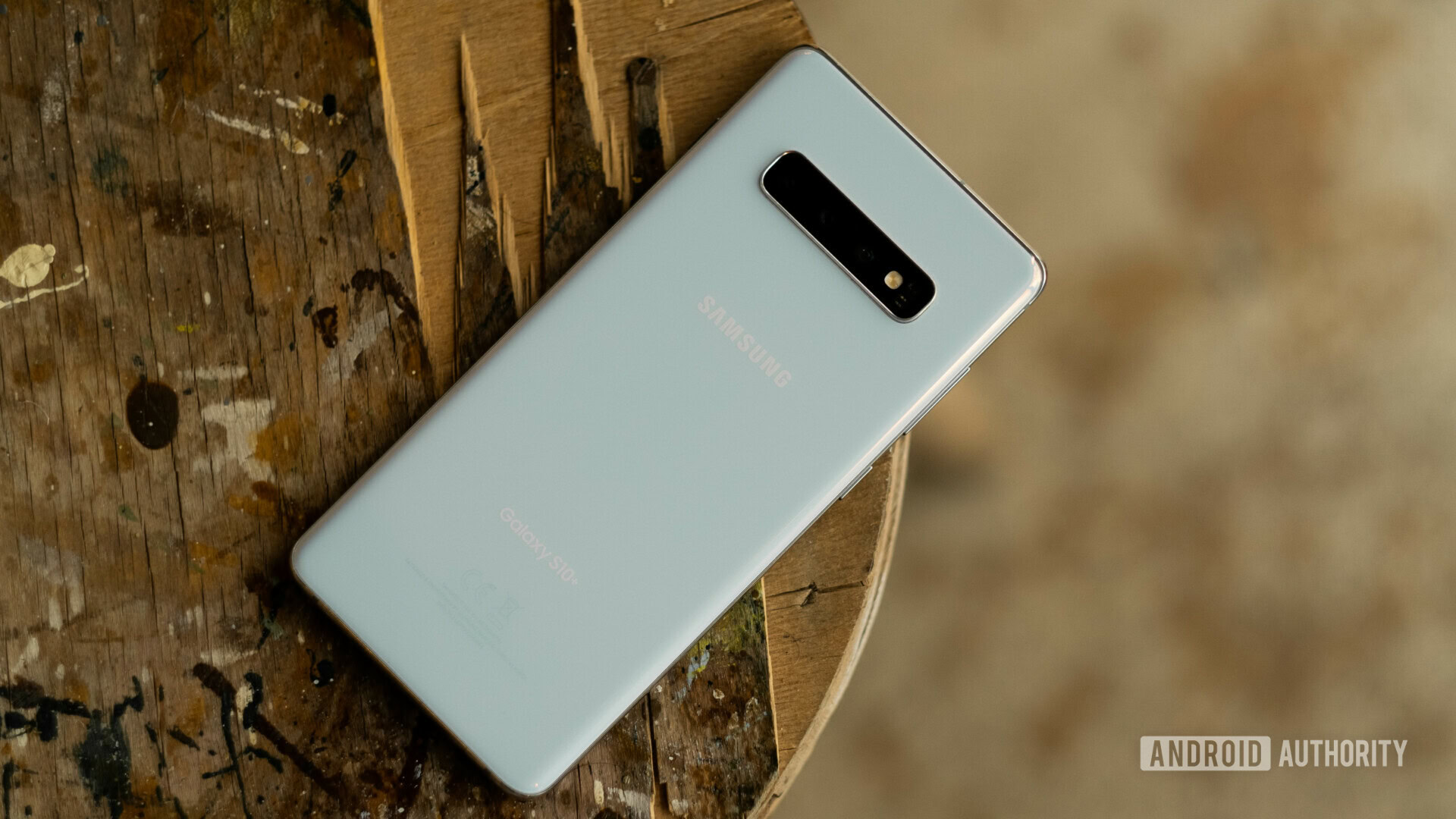 Samsung Galaxy S10 Plus Back Angle