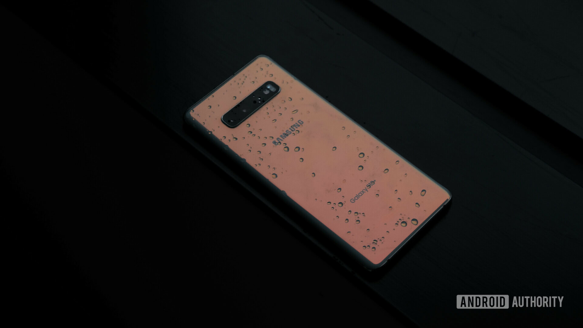 Samsung Galaxy S10 Plus Wet back