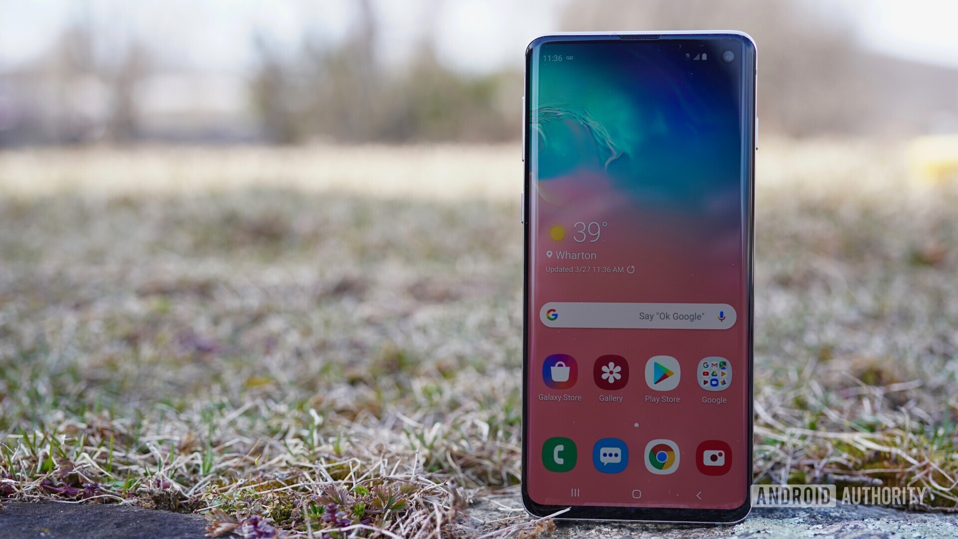 Fron side of the Samsung Glaxy S10 standing upright in a field.